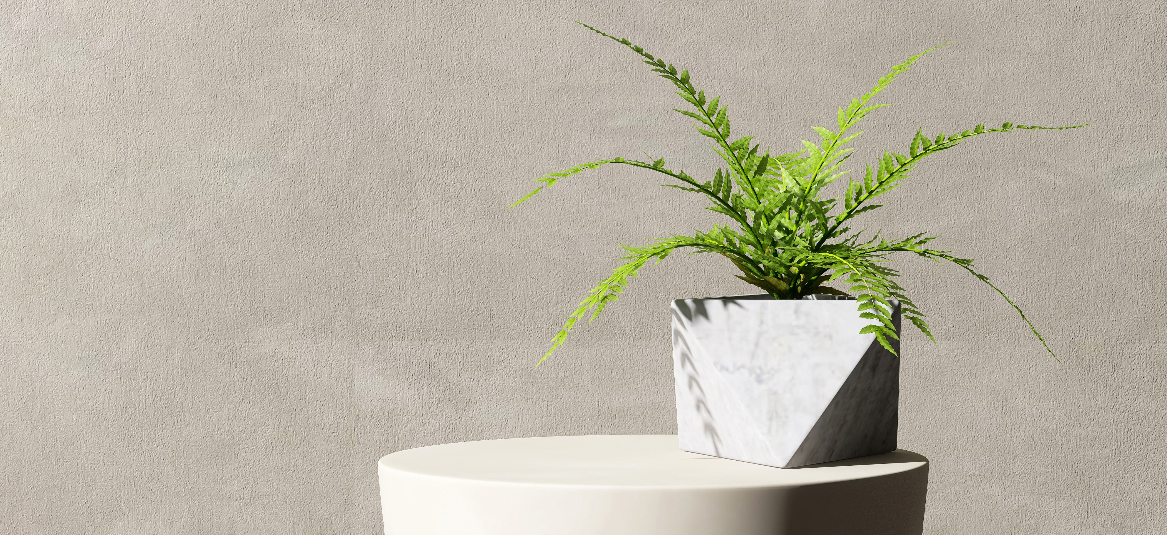 サロンの様子 2