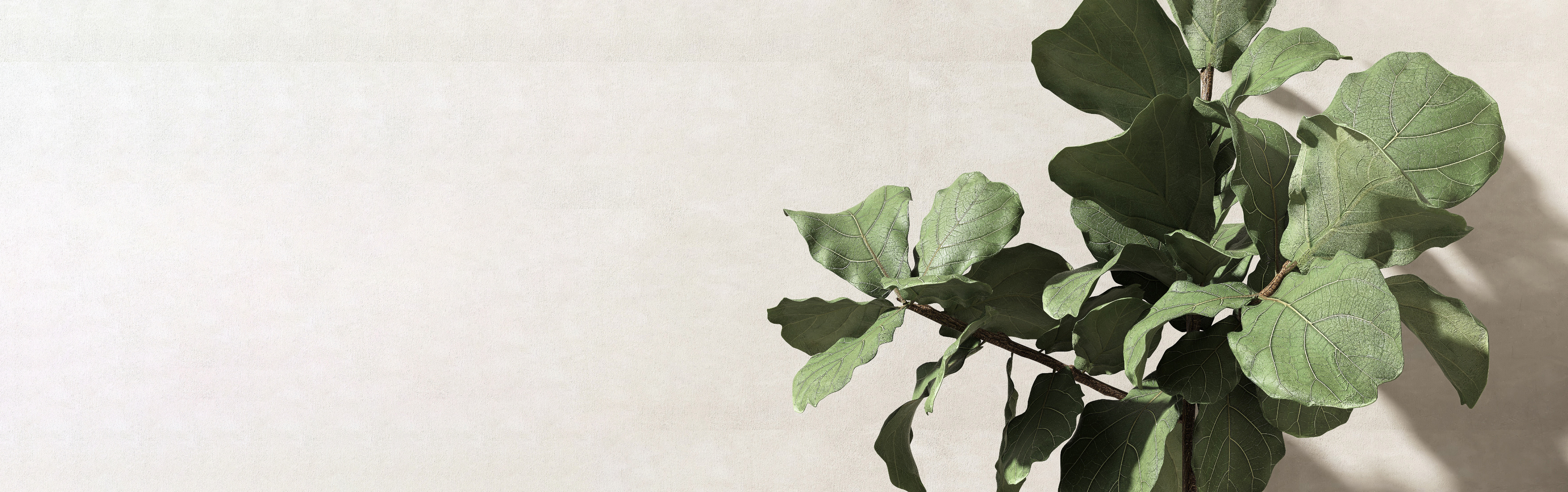 サロンの様子 3