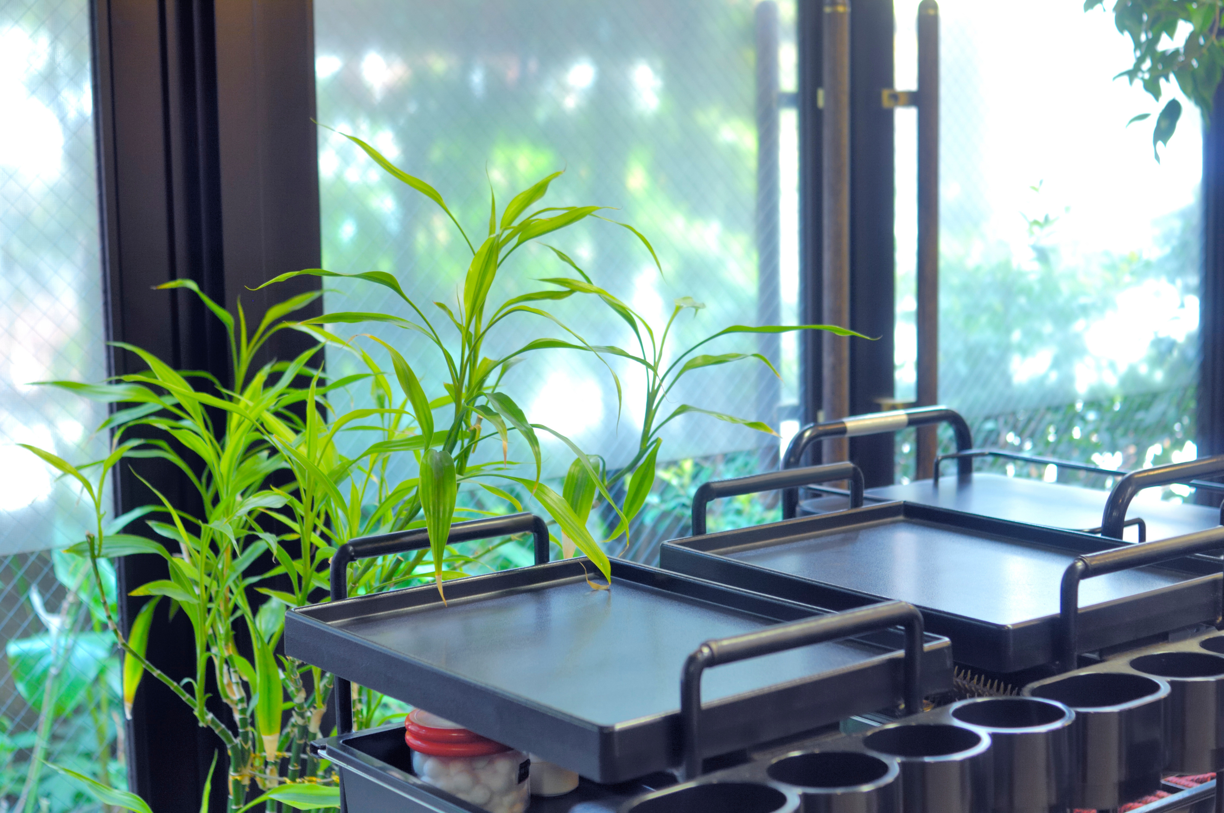 サロンの様子 4